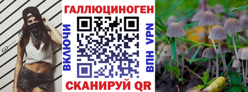 как найти наркотики  Ясный  Псилоцибиновые грибы ЛСД 